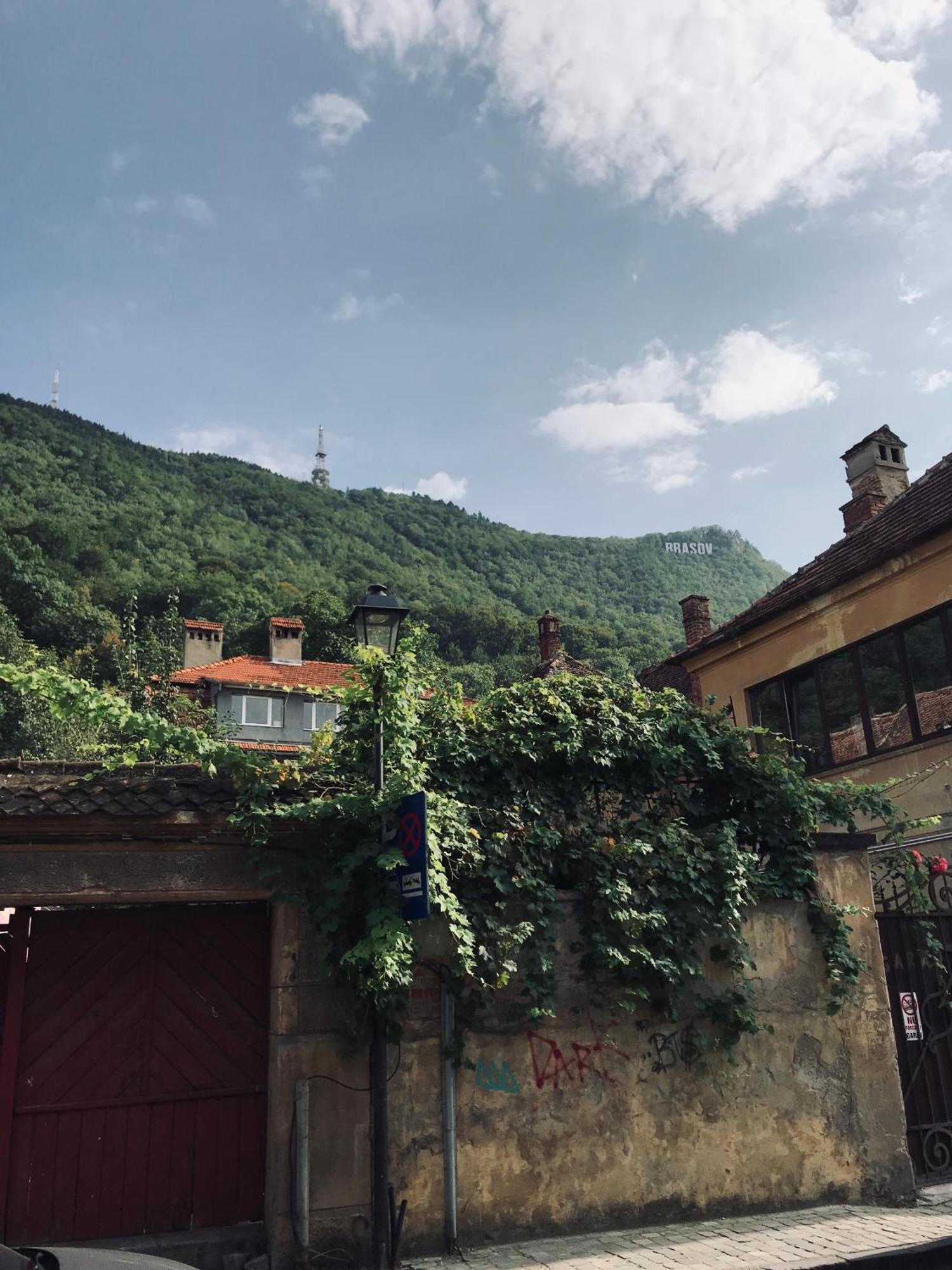 Lovely Brasov Flat With Patio And Mountain Views Bagian luar foto